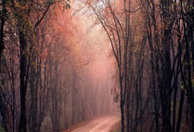 开云APP-卡尔蒂斯训练基地开放，备战世俱杯进入冲刺阶段