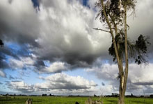 开云体育下载-冰封蜂巢待破茧！关键三招重燃夏洛特之火