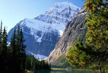 开云APP-汗水铸就勋章：平凡日夜里的非凡突破