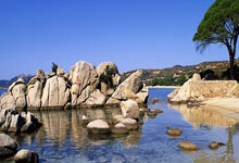 开云APP-卡尔蒂斯训练基地开放，备战世俱杯进入冲刺阶段