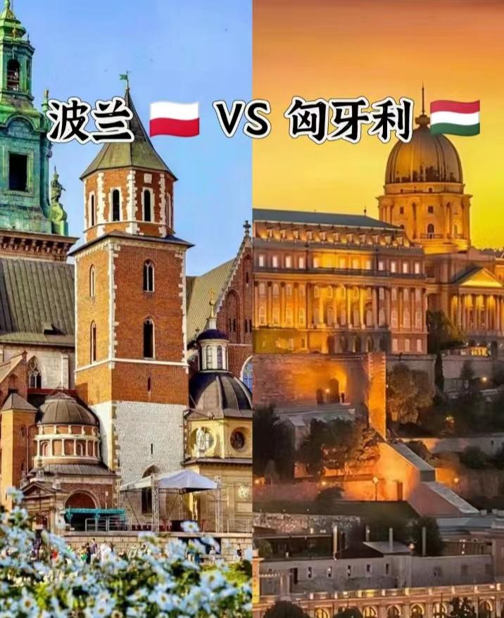 开云体育中国-波兰迎战匈牙利，冲击欧锦赛资格