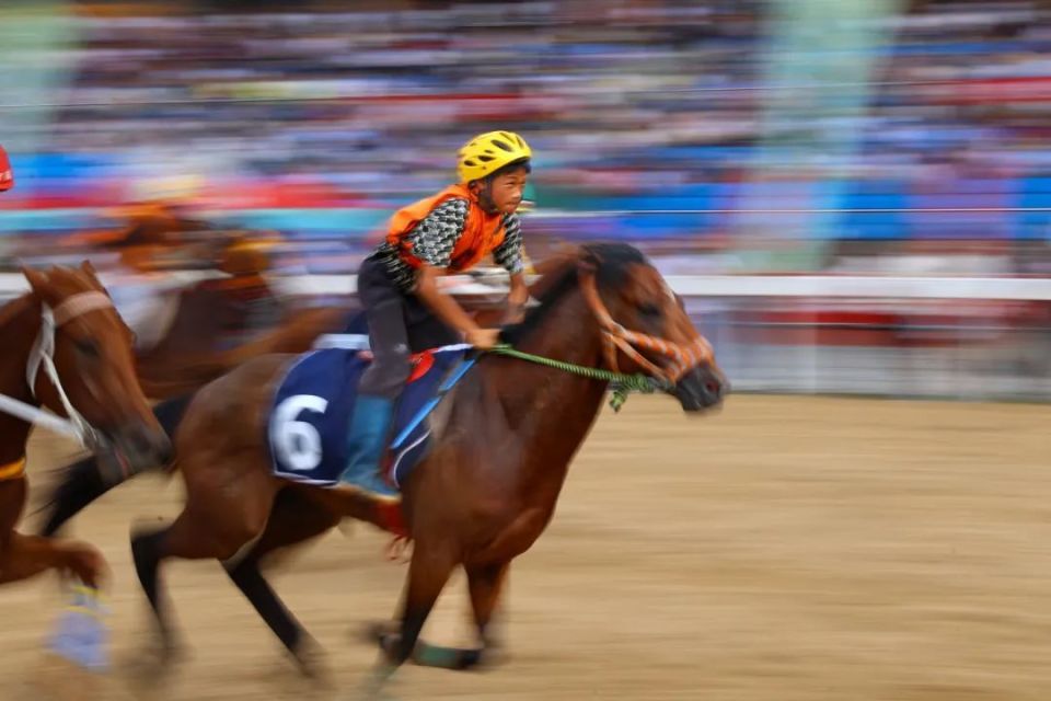 竞技精神在场上充分展现,角逐激动人心的简单介绍 竞技精神在场上充分展现,角逐激动人心的简单介绍