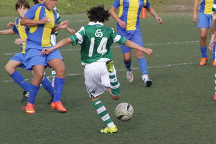 开云体育入口-蒙特雷球员训练强度加大，力求最佳竞技状态