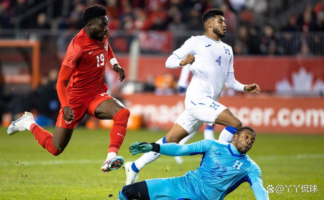 开云下载-加拿大男子篮球队遭受惨败,无缘决赛的简单介绍