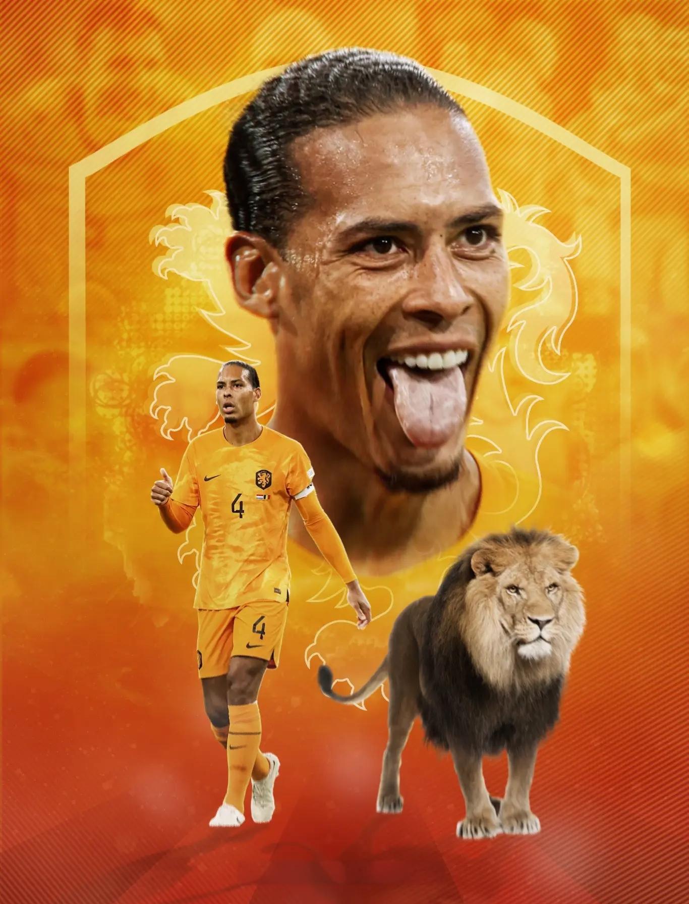 开云体育app-荷兰队备战勇猛！以胜利为目标，奋力晋级的简单介绍