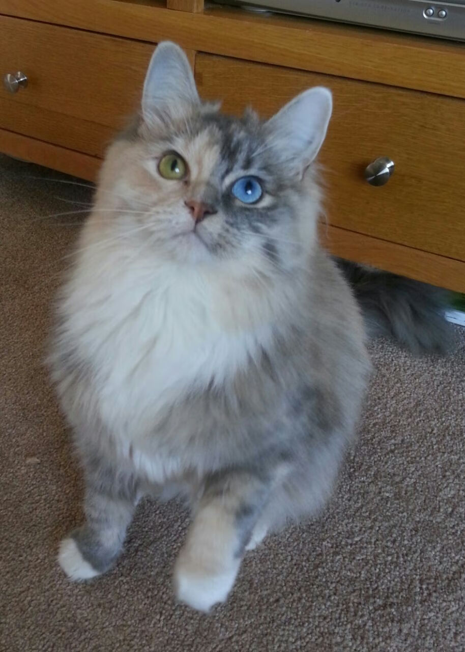 开云体育app-新王当立！文班亚马统治攻防，雄鹿击沉快船