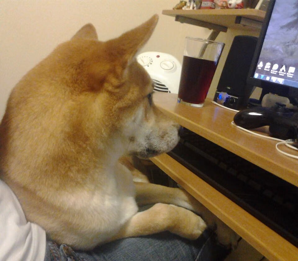 F1新赛季揭幕战之夜，萨拉赫用进球为引擎轰鸣伴唱