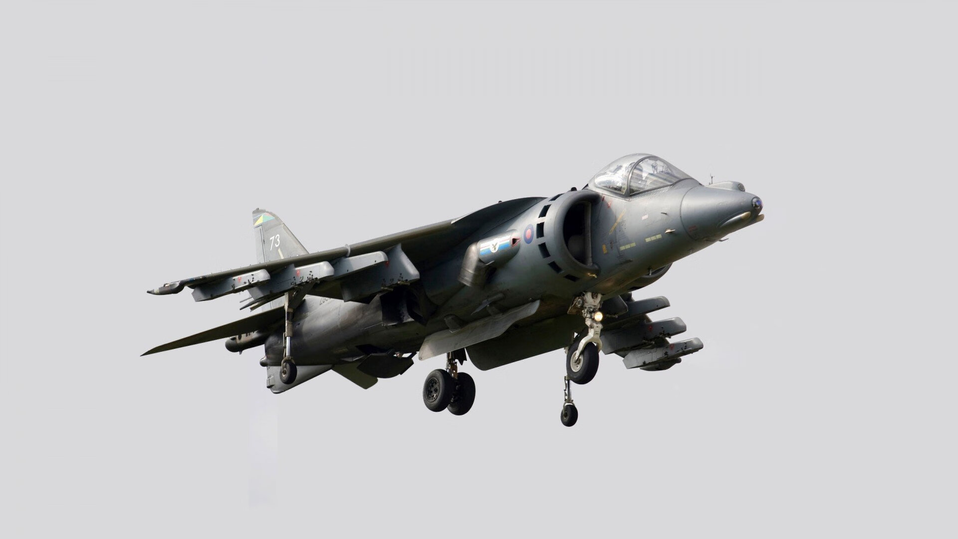 开云体育登录-体育场与赛道的孤独胜利，当独行侠淘汰活塞，西亚卡姆在F1轰鸣中加冕