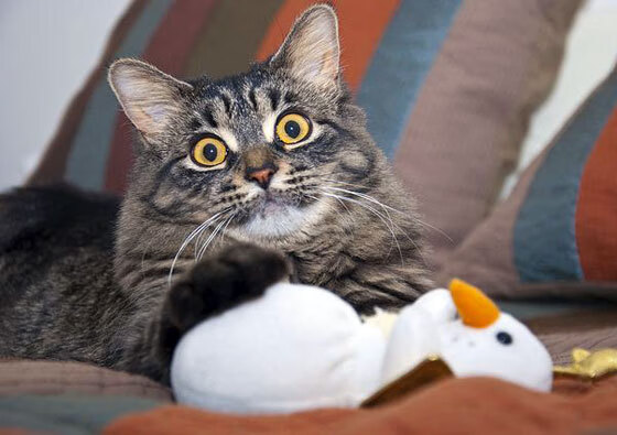 开云体育下载-武切维奇爆砍45+20创纪录！马刺加时险胜勇士，书写生涯之夜