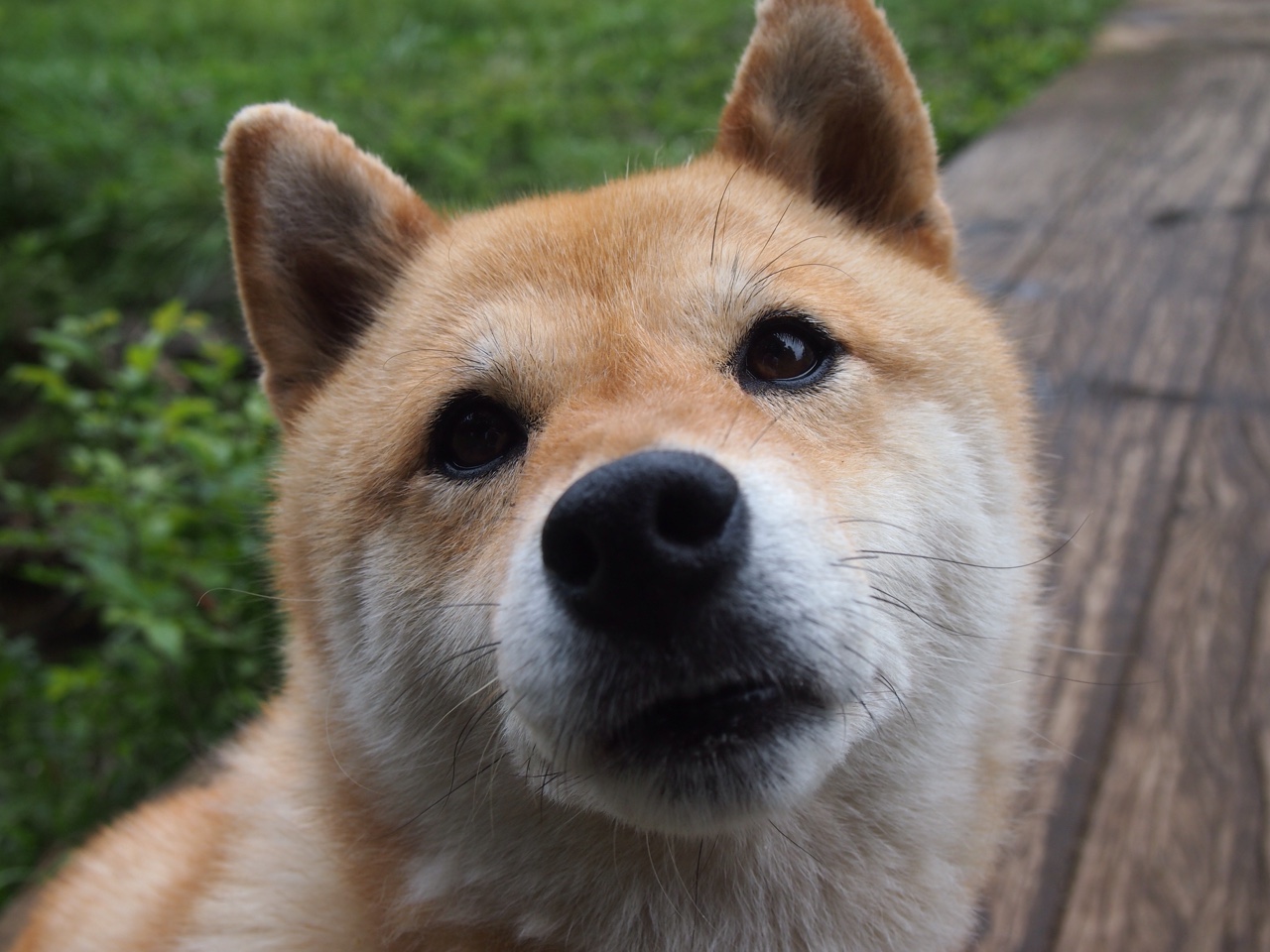 冰与铁的熔炉之战，莱比锡红牛如何在极寒之地淬炼排名荣耀