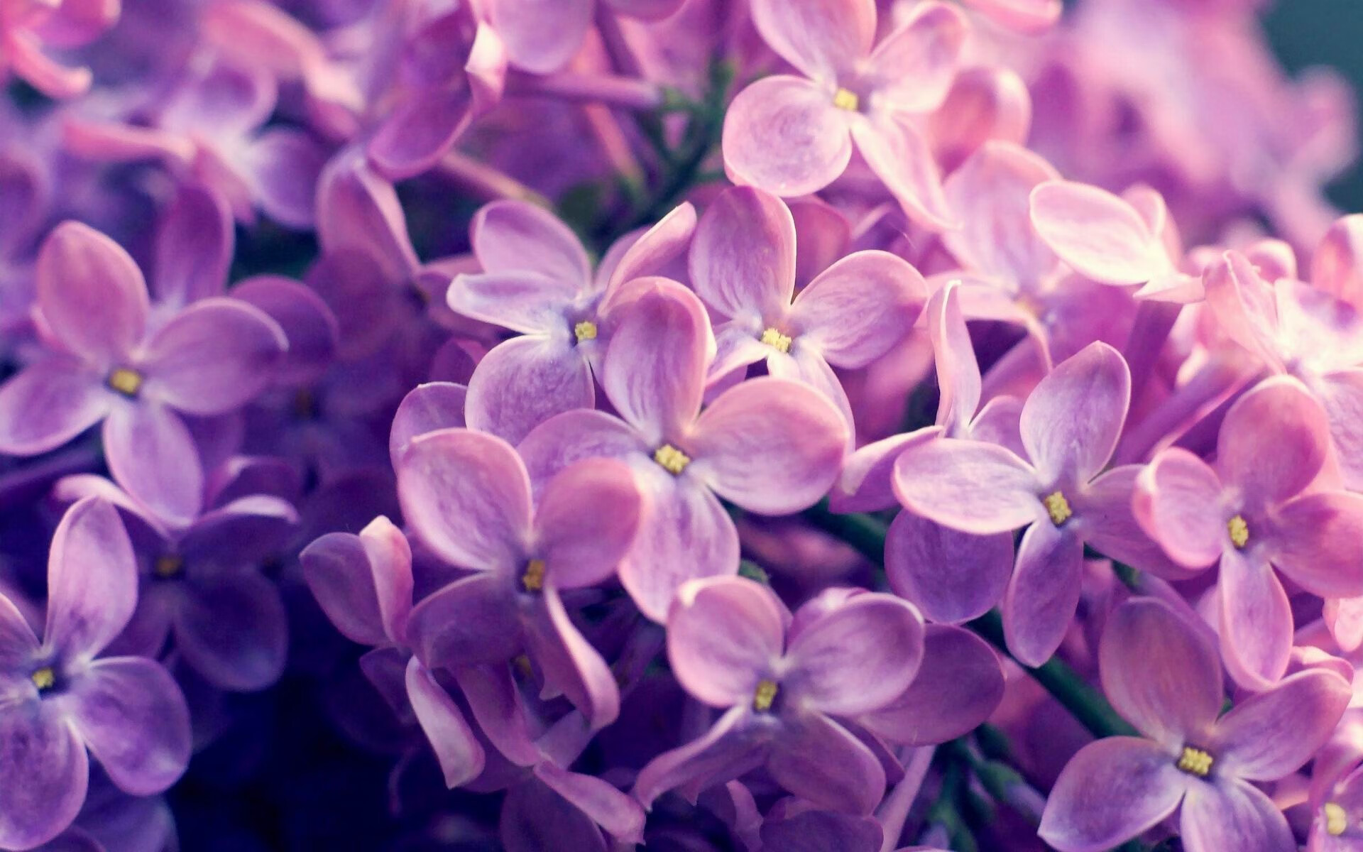 哥斯达黎加爆冷突围西班牙,基耶萨闪耀全场评分满分