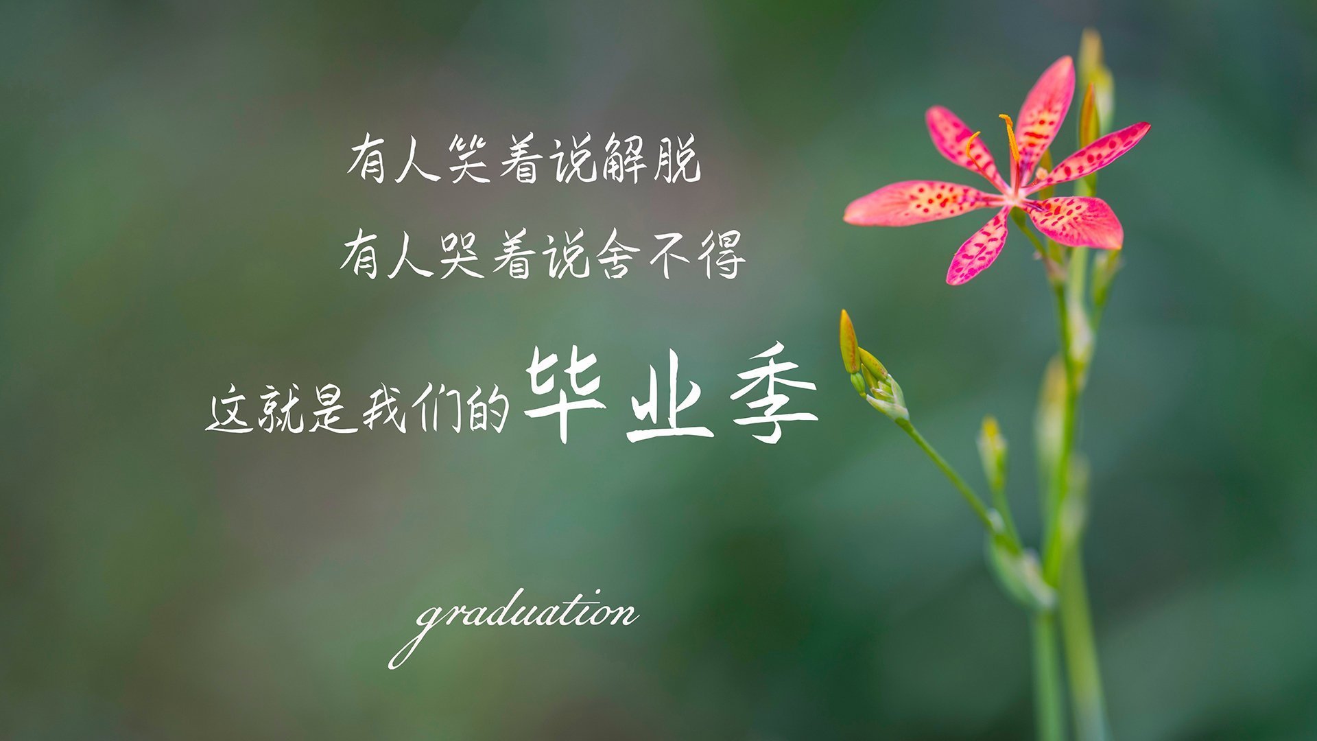 双城记,西甲国家德比与山西血拼骑士背后的体育对抗美学