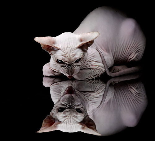 当证明时刻来临，黄喜灿与法国队各自的突围之路