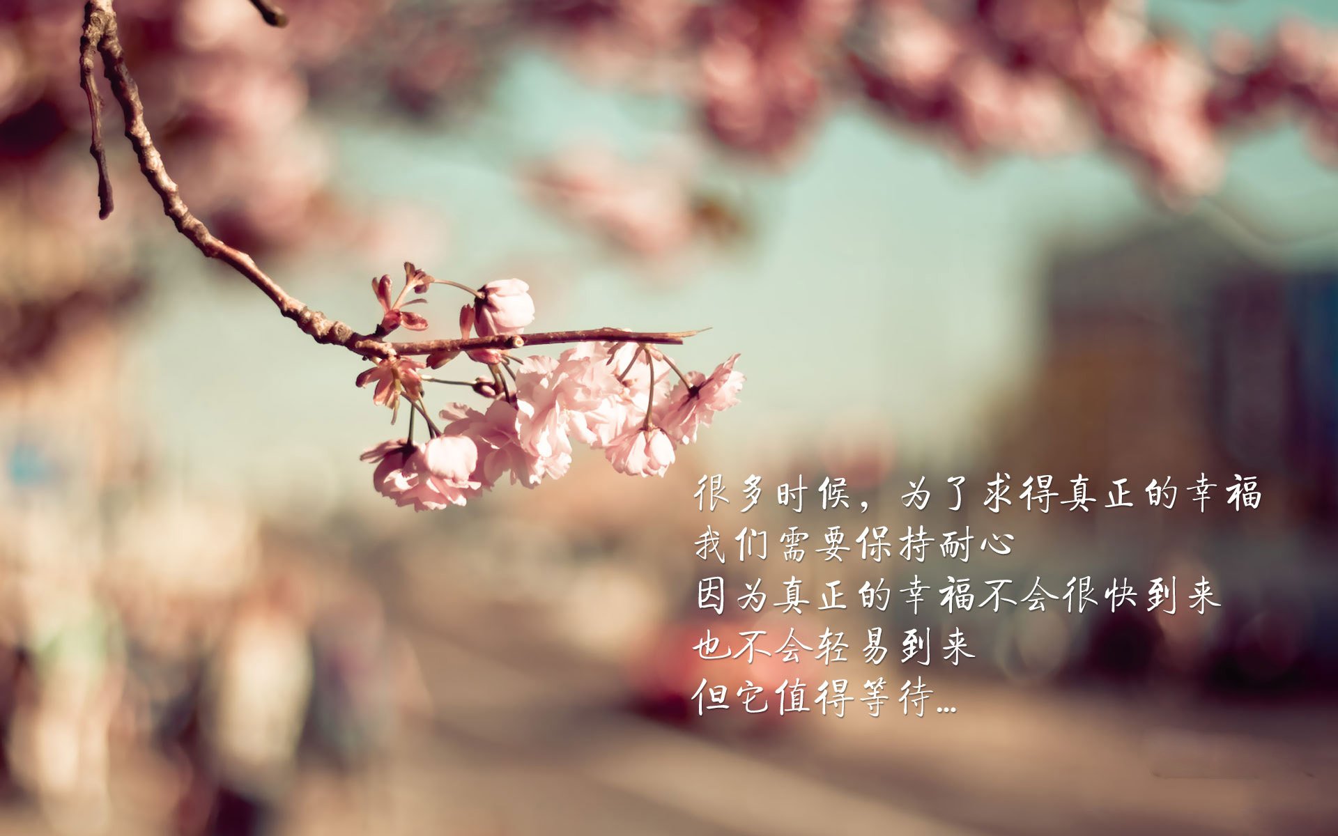 开云APP-意甲焦点战烽火连天，哥伦比亚强势踏平伊拉克