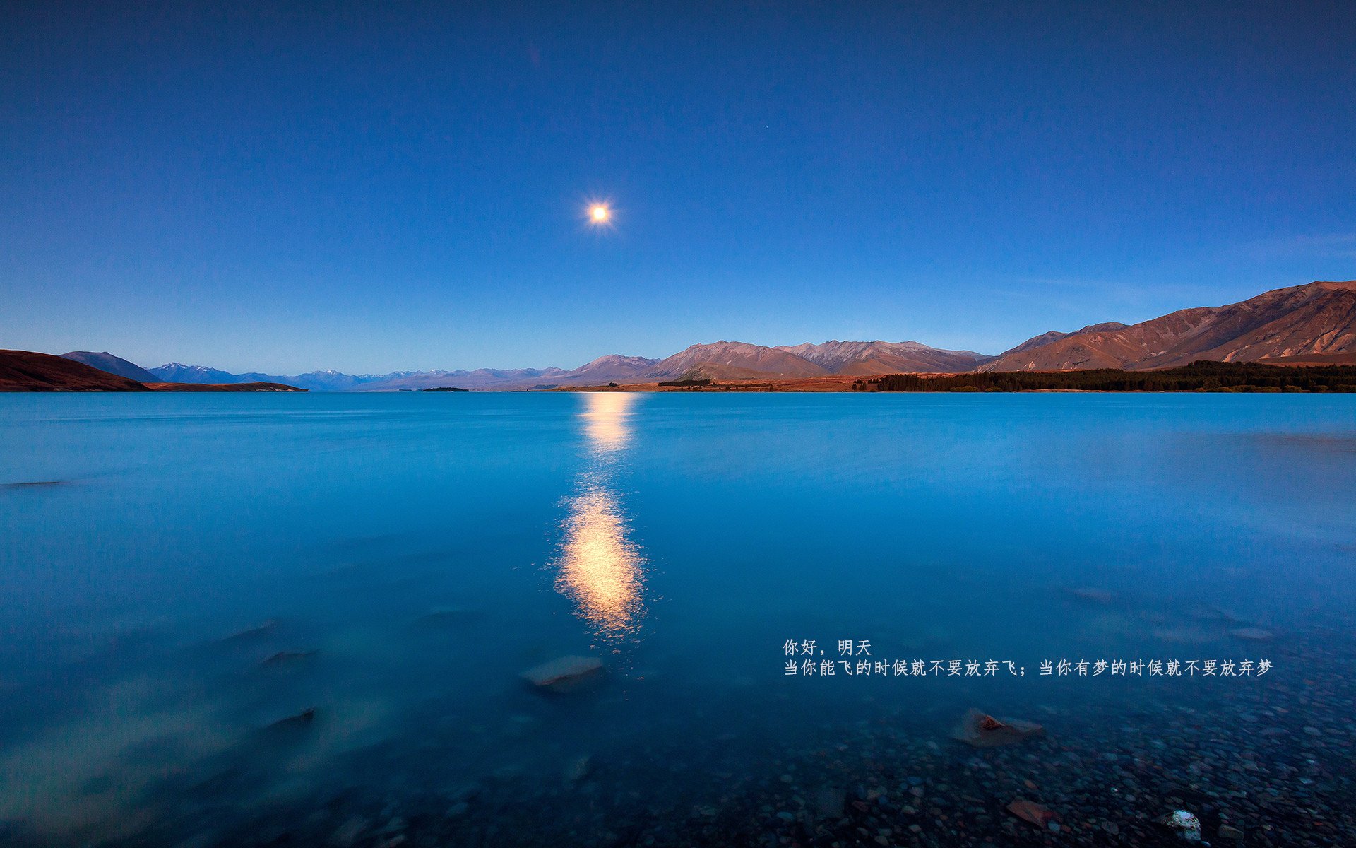 新王加冕与时代终章,锡安的统治级数据如何映照老鹰淘汰马刺的历史隐喻