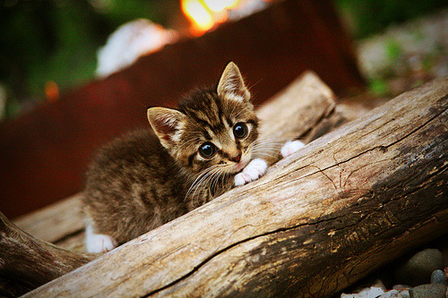 夜幕下的权力更迭，当梅西的月光隐去，罗德里以铁幕笼罩国家德比
