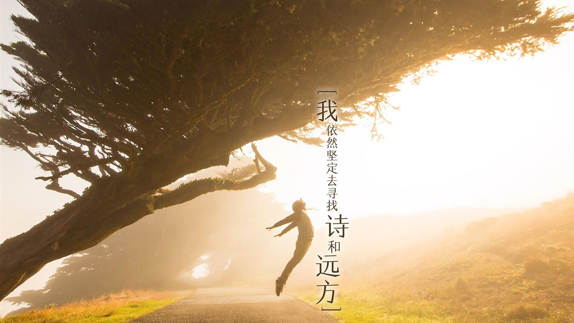 开云官网-孤光耀鹏城，欧文致命一击，深圳队跨洋决胜书写东方传奇