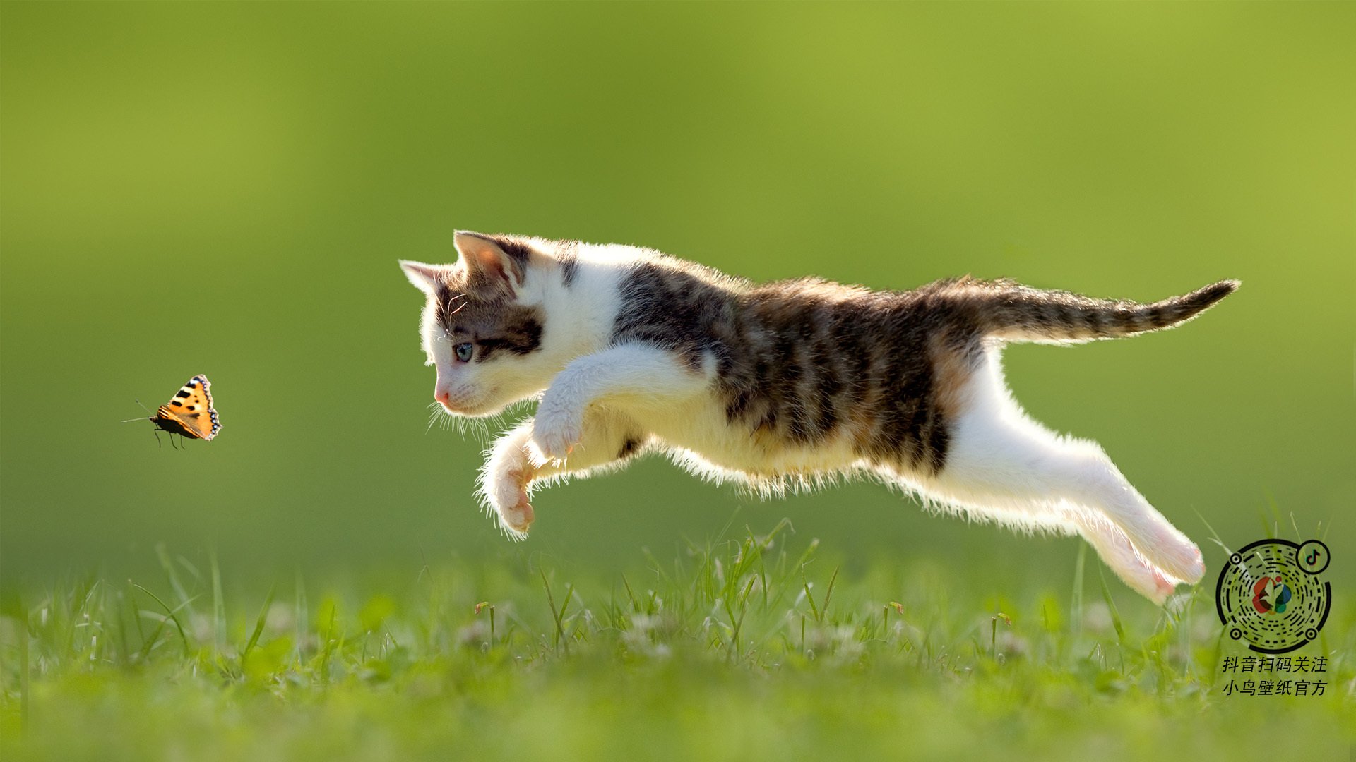 季后赛的硬度与黄昏,戈贝尔不手软,马刺粉碎雷霆