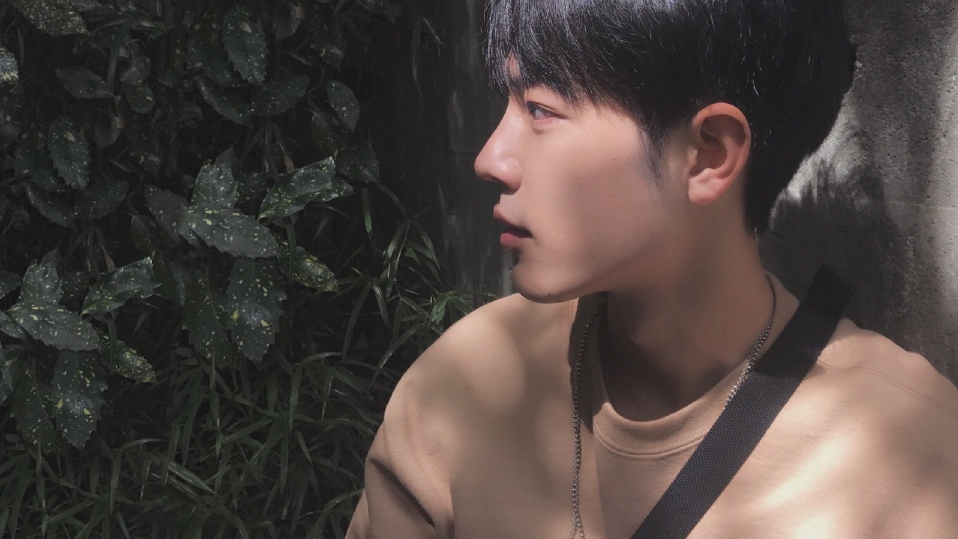 铁血封锁与孤星闪耀,凯尔特人vs黄蜂之战诠释硬仗真谛